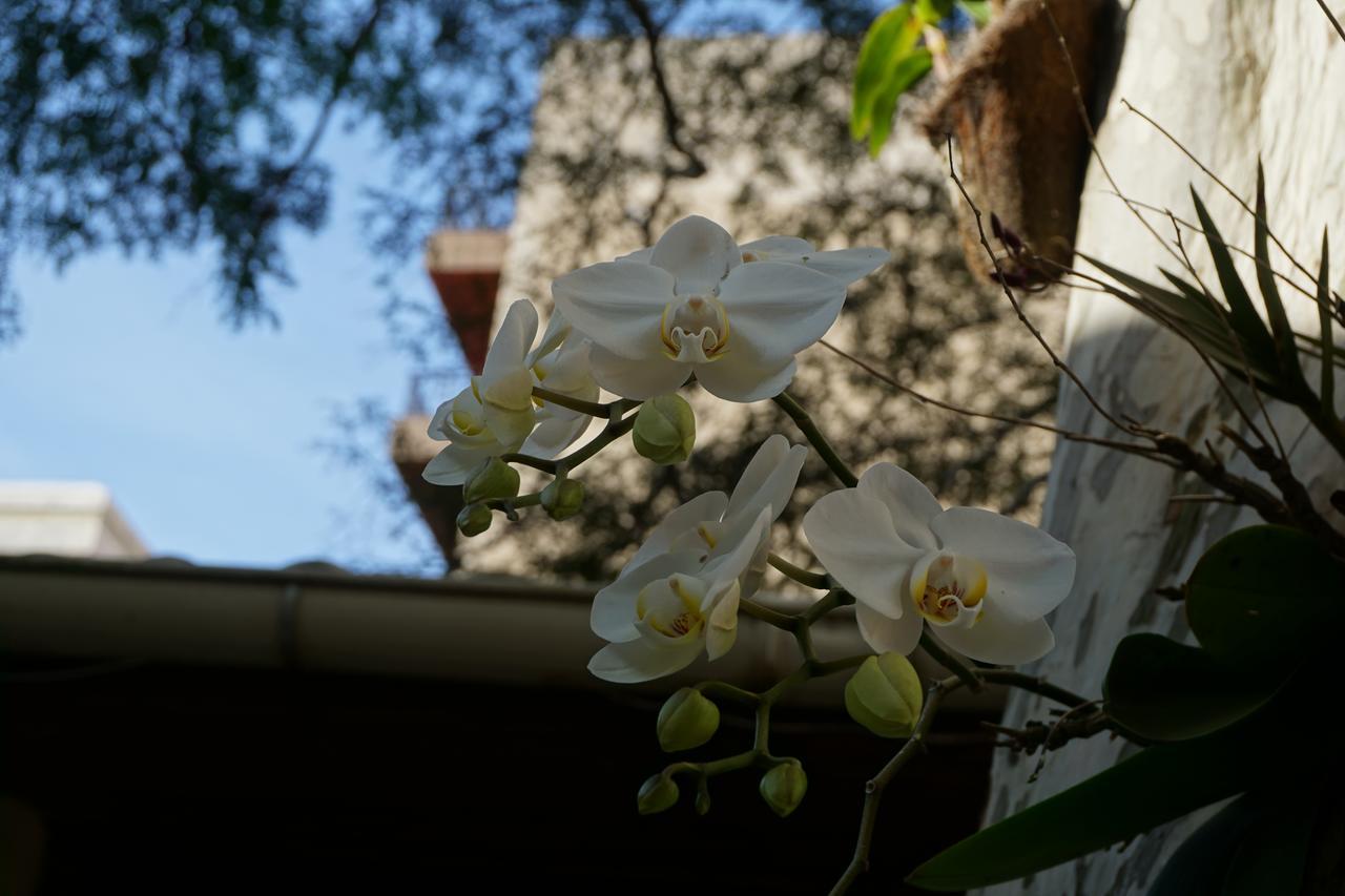Pouso Da Garca Bed and Breakfast Κάμπο Φρίο Εξωτερικό φωτογραφία
