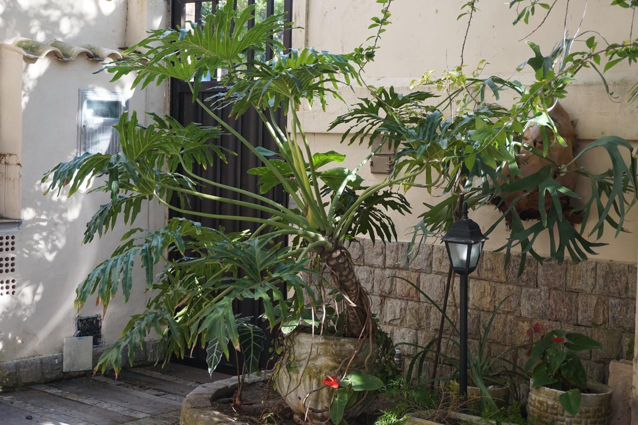Pouso Da Garca Bed and Breakfast Κάμπο Φρίο Εξωτερικό φωτογραφία